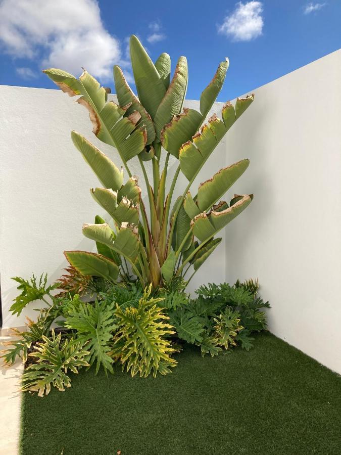 Casa Alice Villa Playa Blanca  Luaran gambar